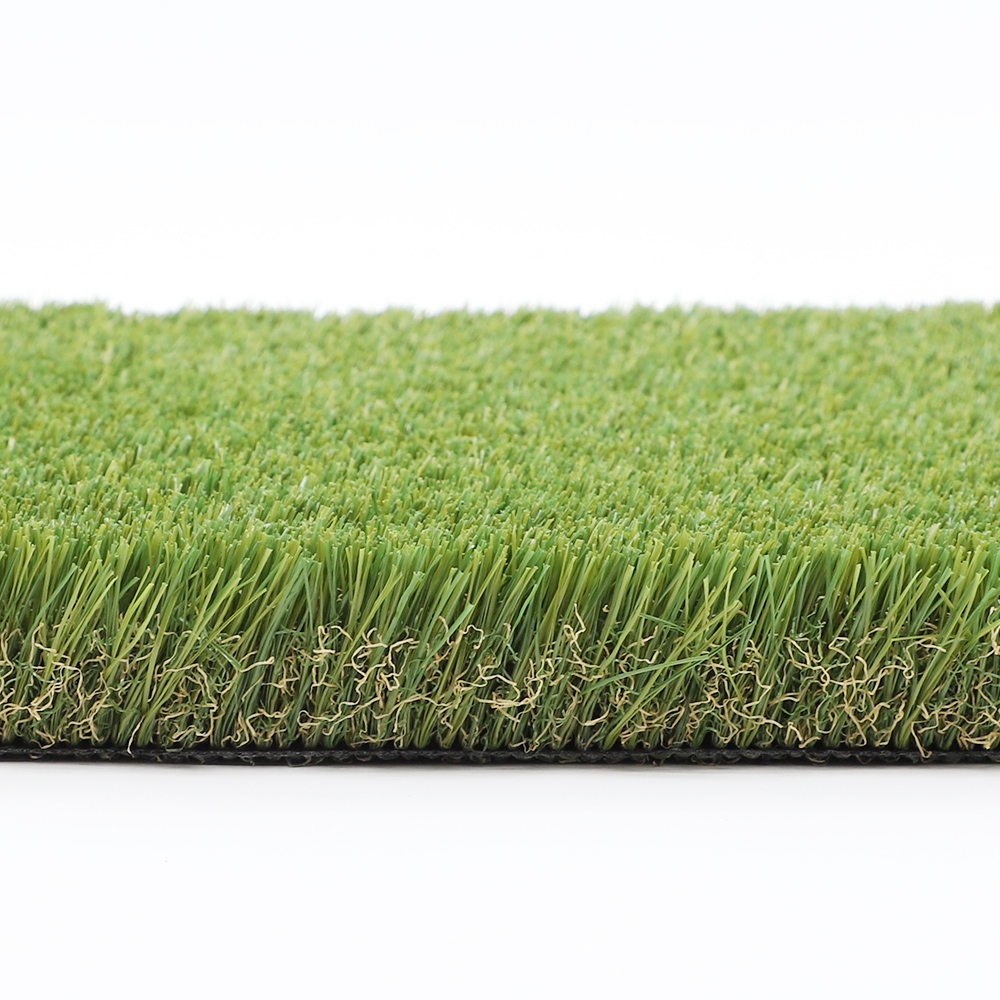 detail of garden grass detail of garden grass