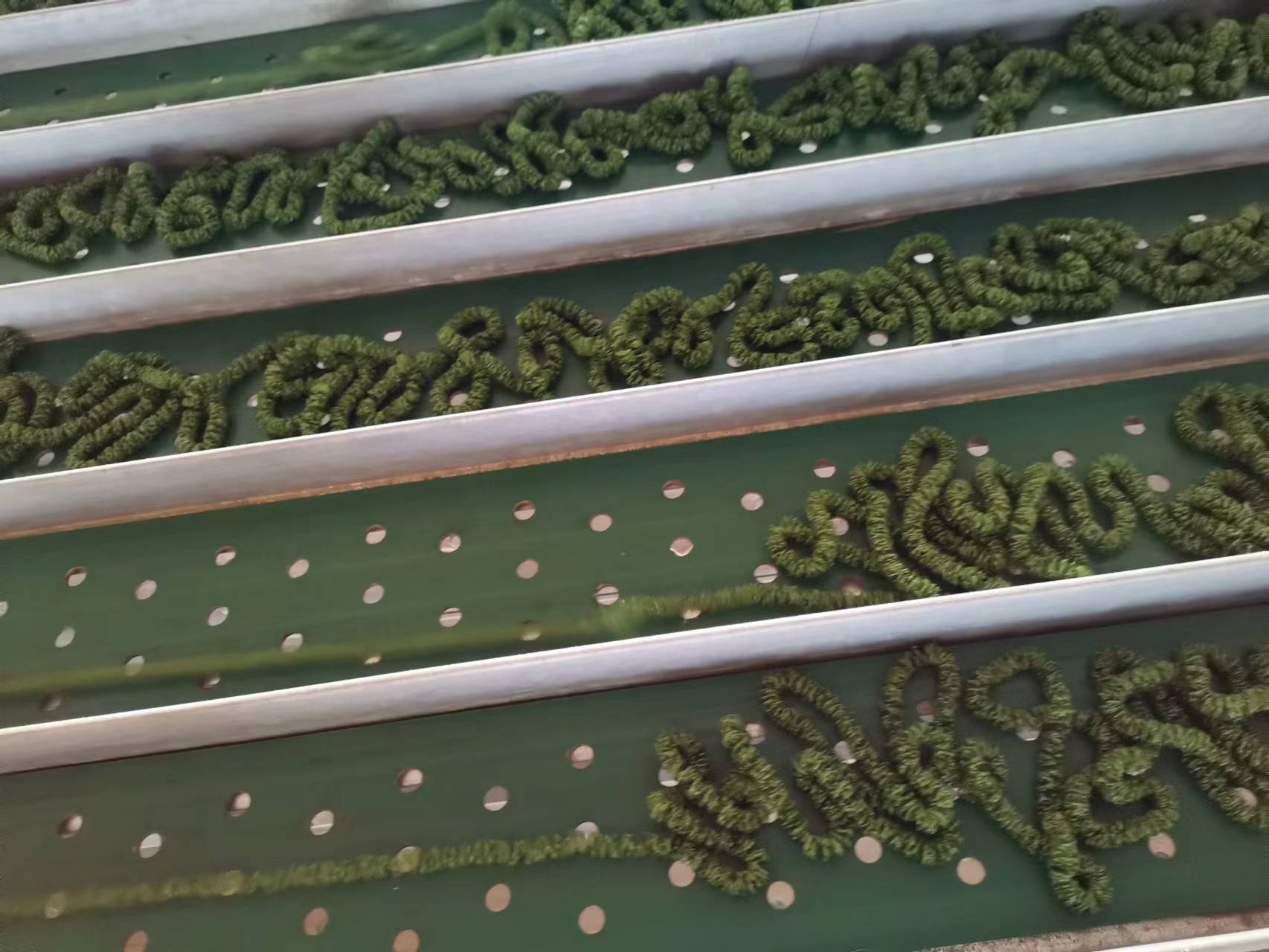 12ab83720507782e4e5884da1782e4e 12ab83720507782e4e5884da1782e4e