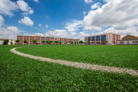 Weather Resistance Synthetic Sports Grass for Stadium Field