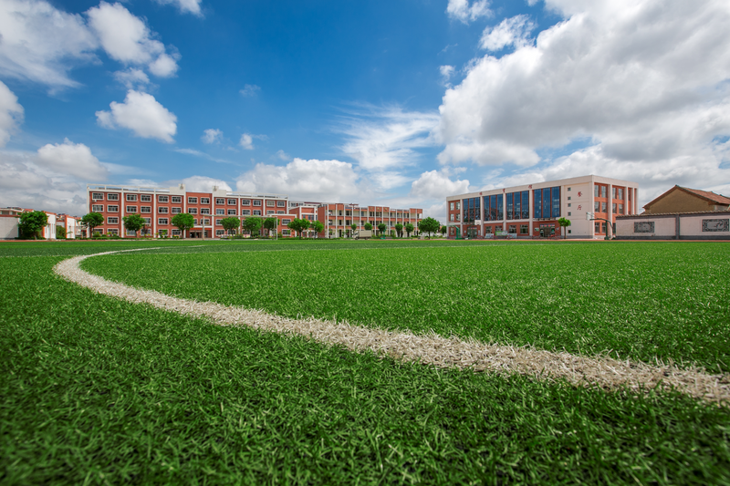 Durable Monofilament Flame Retardant Sports Grass for Multipurpose Field