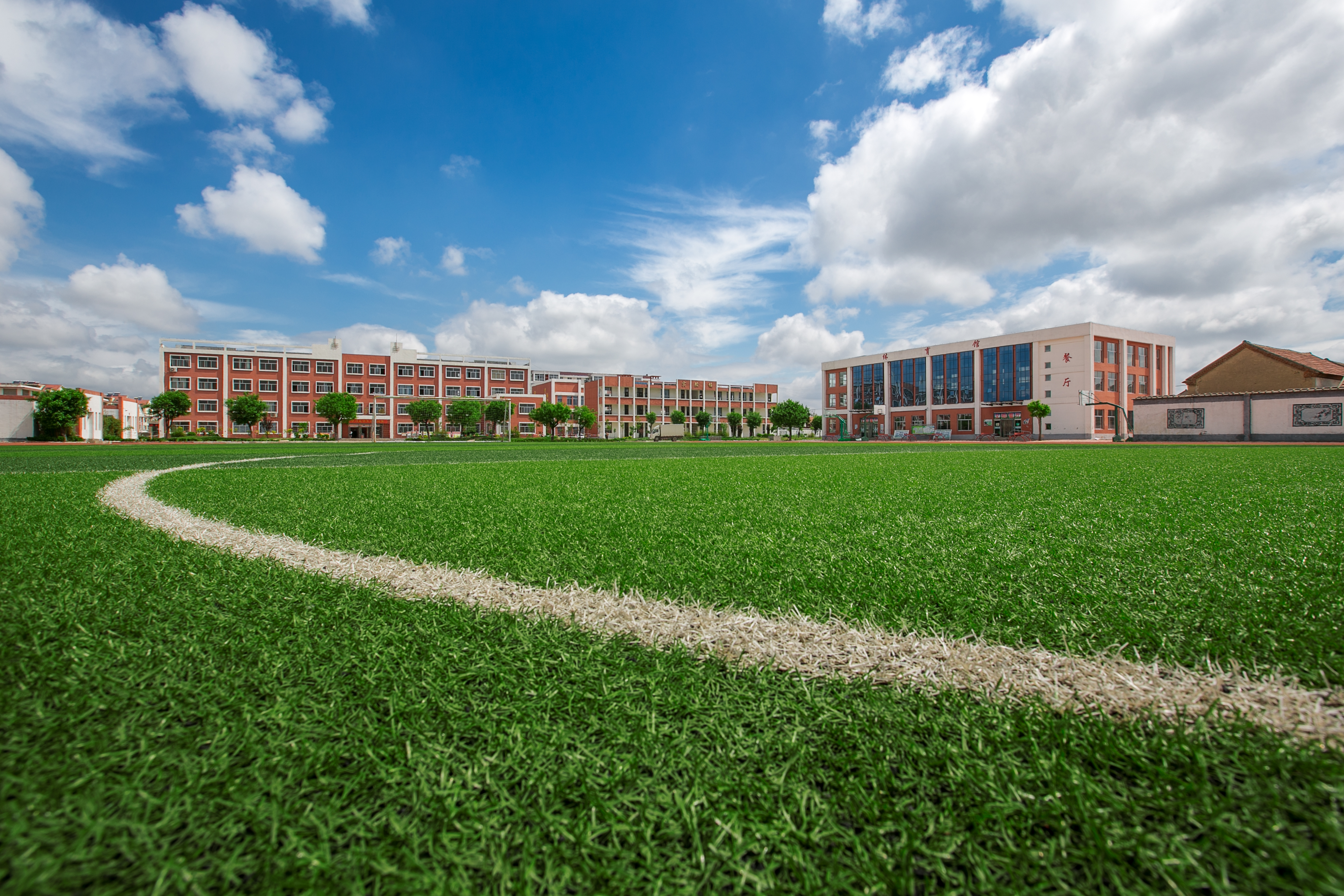 Durable Monofilament Flame Retardant Sports Grass for Multipurpose Field