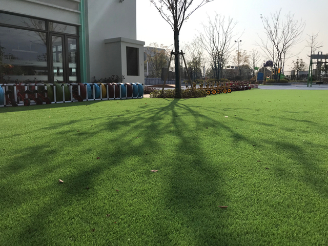 Ce Standrd PE Indoor Outdoor Artificial Grass for Landscaping Fields