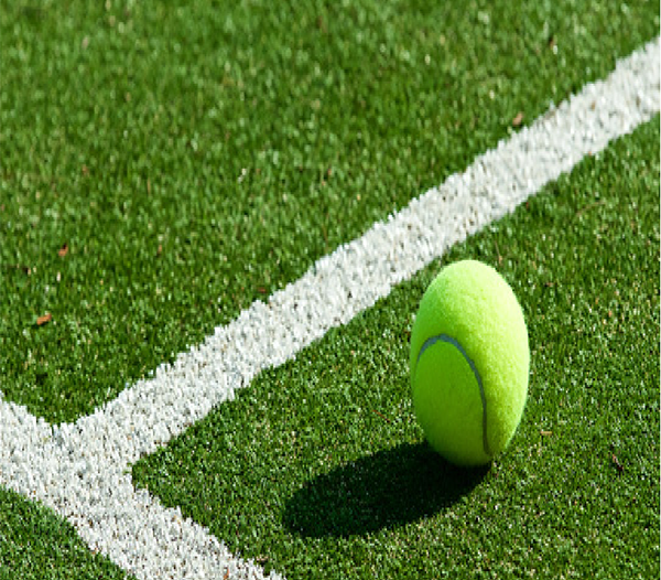 Bicolour 50mm Football Sports Grass for Golf Outdoor Sports Field 