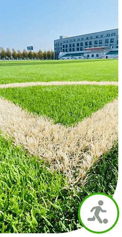 Top PE material weather resistance multi-sport artificial grass for soccer