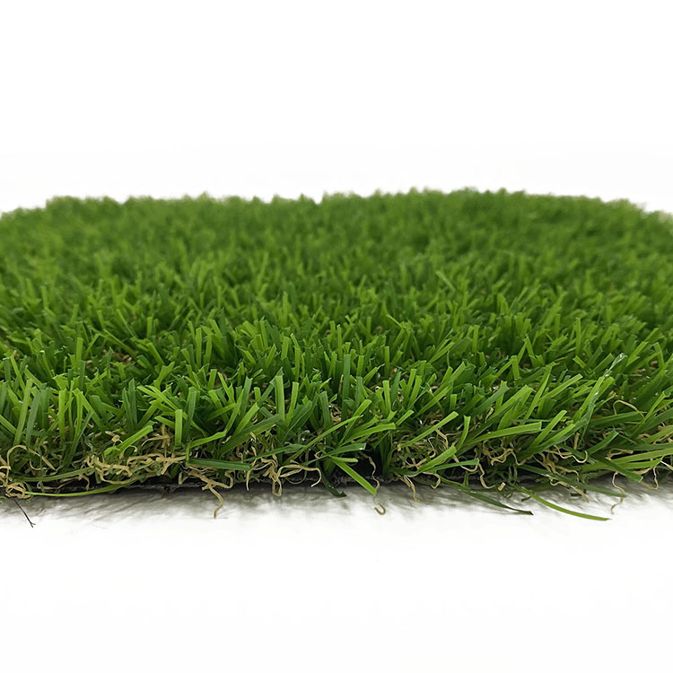 Olive Toona Diamond Shape Landscape Grass for Backyard