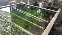 Affordable Good Quality Toxic Free Artificial Grass For Landscaping
