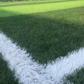 About the introduction of sports grass