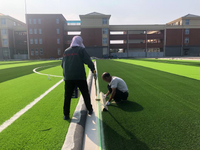 China Supplier No-need Mowing Free-fastness Competitive Price Synthetic Grass for Football/Soccer Filed