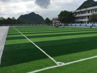 Wear Resistant Classic 50MM Artificial Grass For Football Field