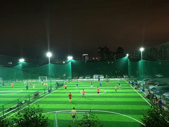 35MM -50 MM Flame Retardant Non-toxic Health Artificial Grass for GYM Trainning Turf