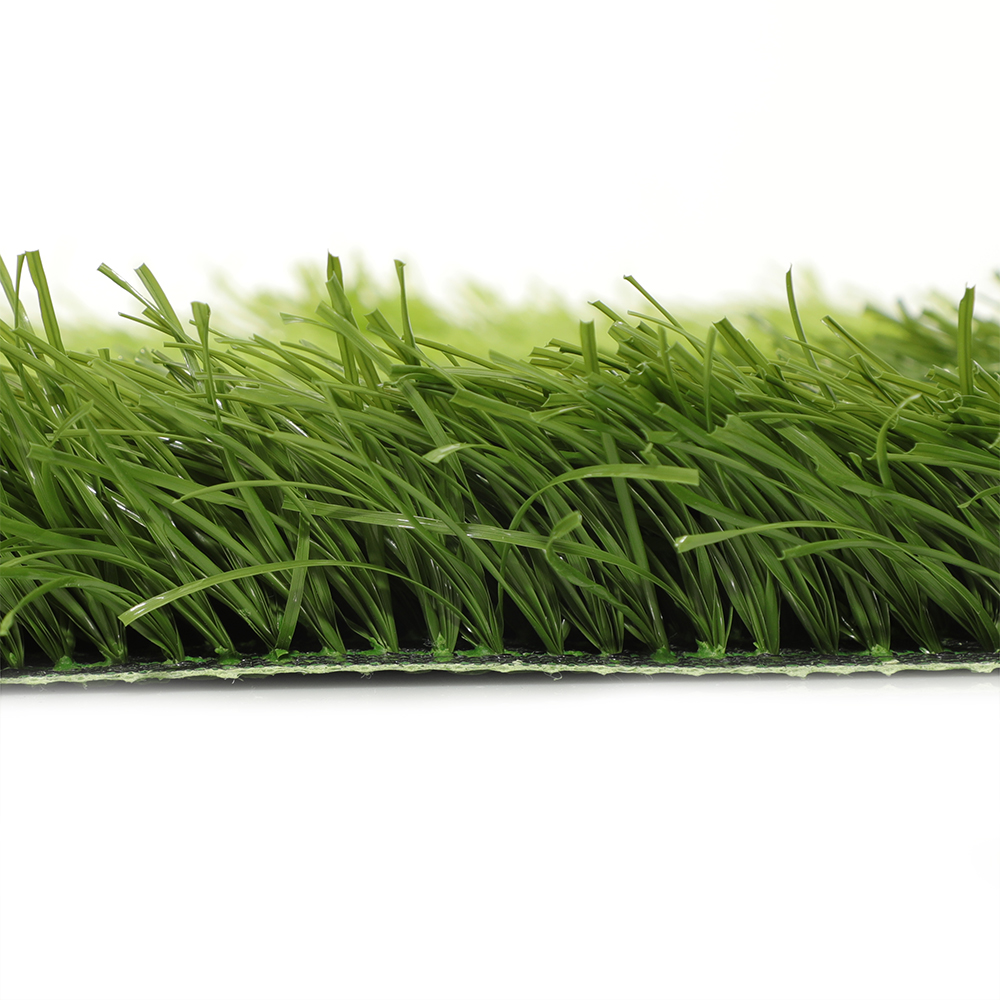 description of landscape grass