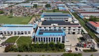Factory Wholesale Durable Evergreen Artificial Grass For Landscaping Derocation