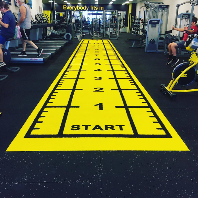 High Quality LOGO Customized Colorful Artificial Grass For Sled Rush