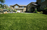 Easy-maintenance Top Quality Synthetic Turf for Garden