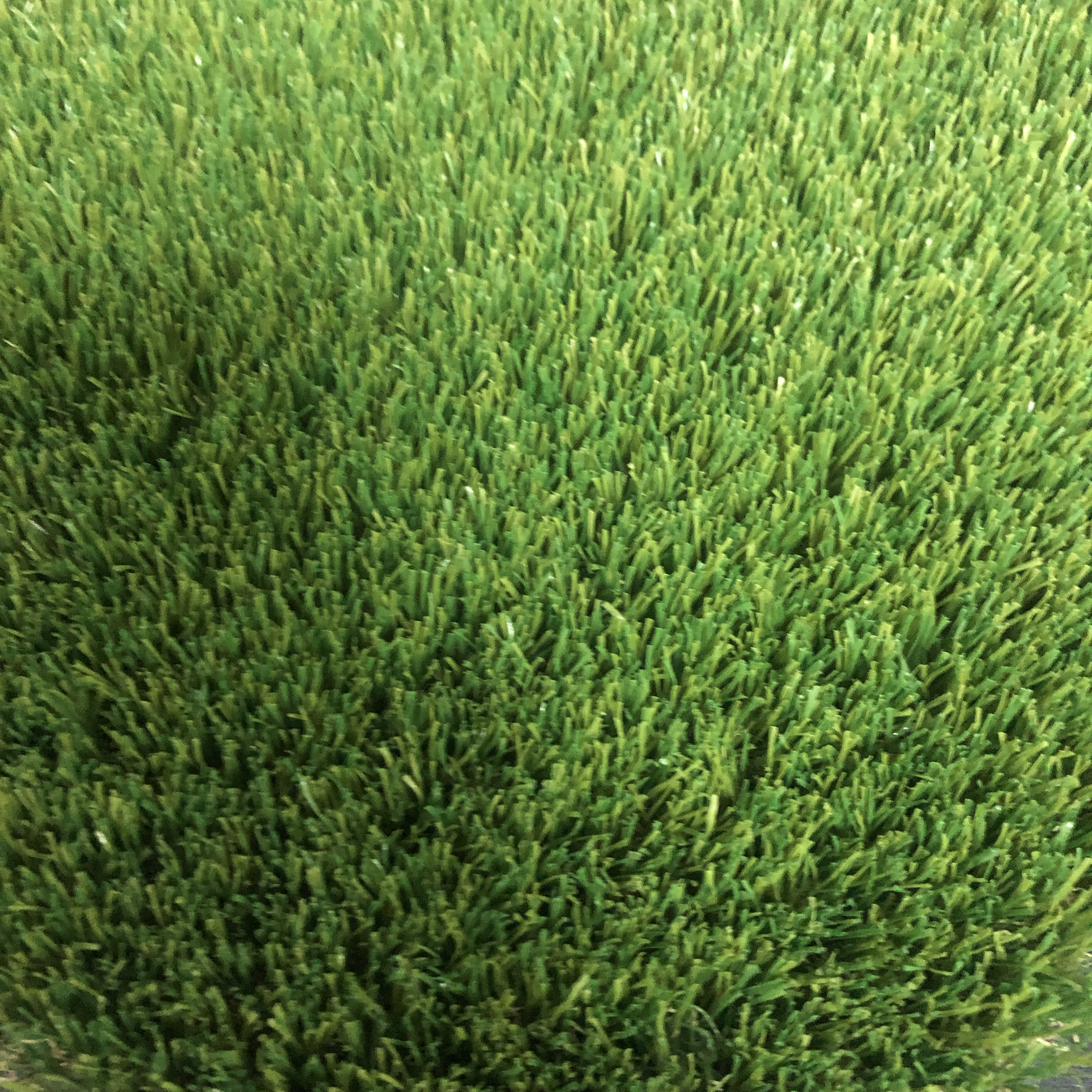 China Pet-safe Synthetic Turf For Landscape