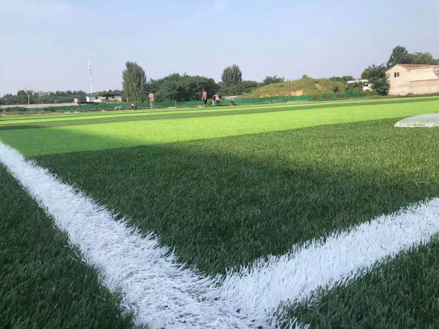 S-shape Infill Synthetic Turf For Futsal Field