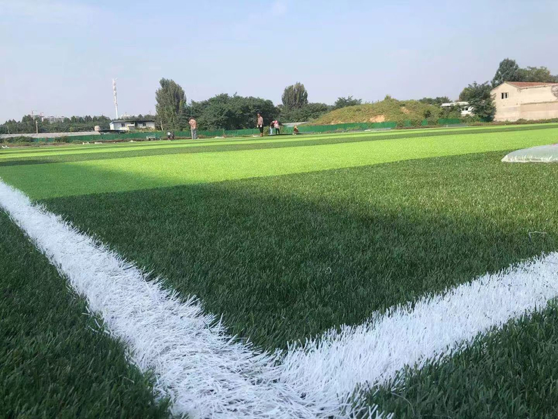 S-shape Infill Synthetic Turf For Futsal Field