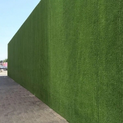 wall grass