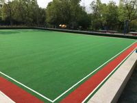 35MM -50 MM Flame Retardant Non-toxic Health Artificial Grass for GYM Trainning Turf