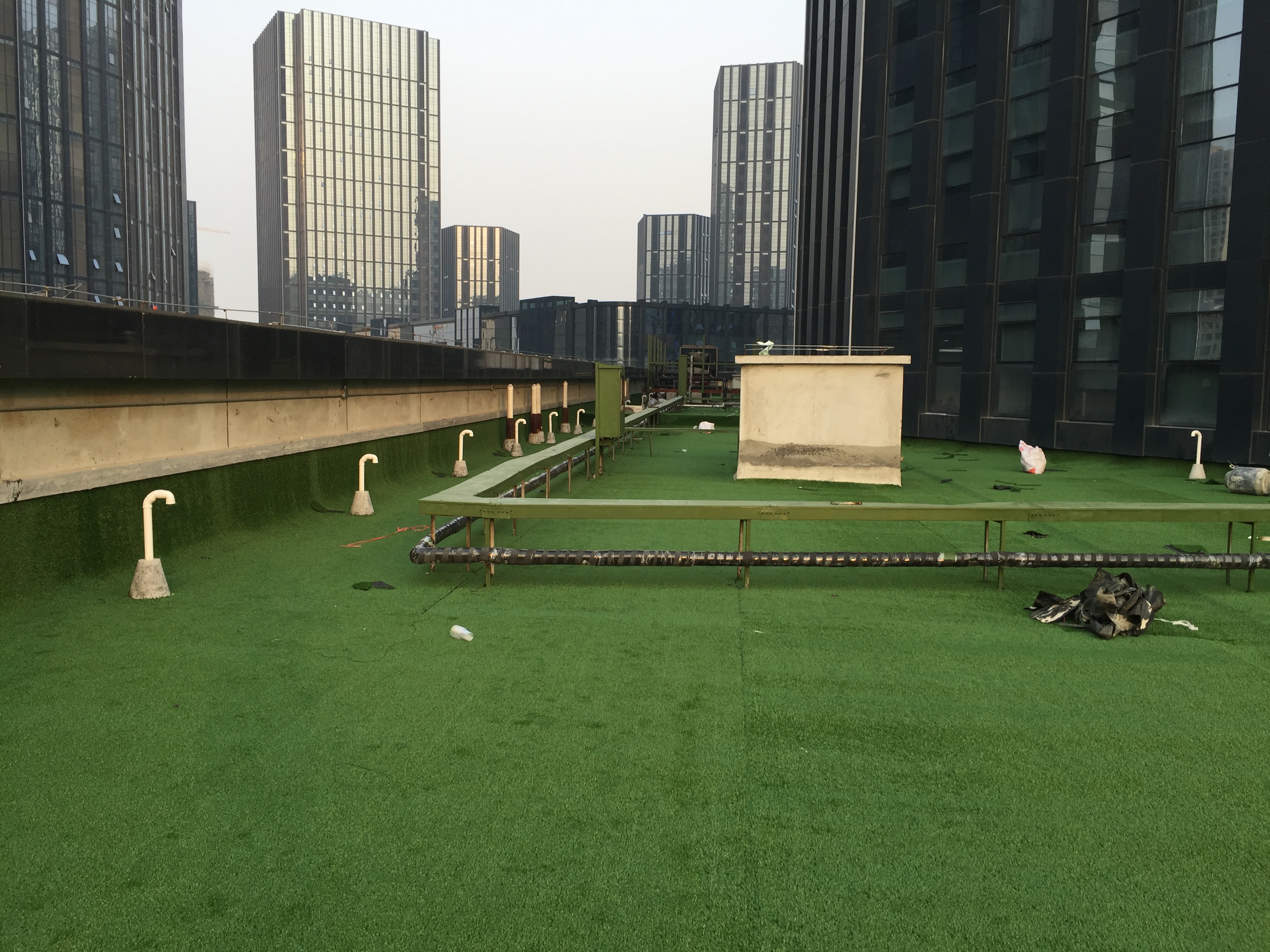 landscape grass for rooftop