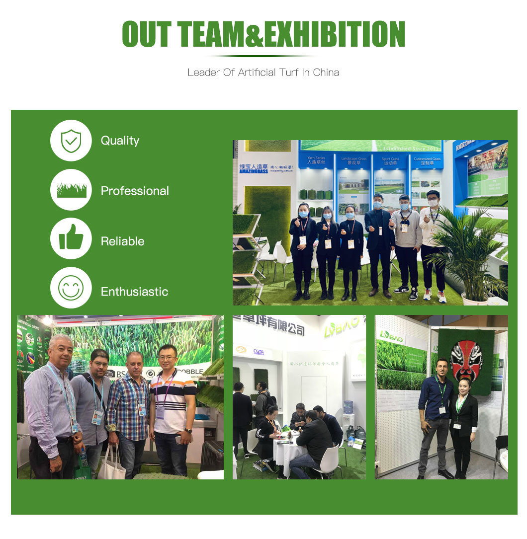 Our Team&Exhibition