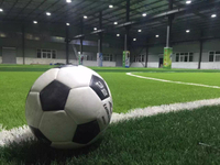Hot Sale All-weather Service Easy Installation Artificial Grass for Mini Football Field
