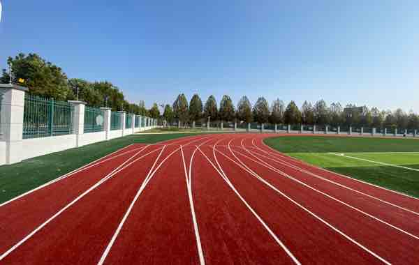 Anti-fire PP Football Grass for Sports Field badminton court 