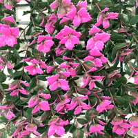 Purple Color Anti-UV High Quality Artificial Boxwood Green for Artificial Hedge