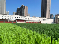 No Pollution Antistatic Agent Monofilament Yarn Fibers Synthetic Grass for Playground