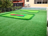 Pattern Design Customized LOGO Colorful Artificial Grass For Landscaping Decoration