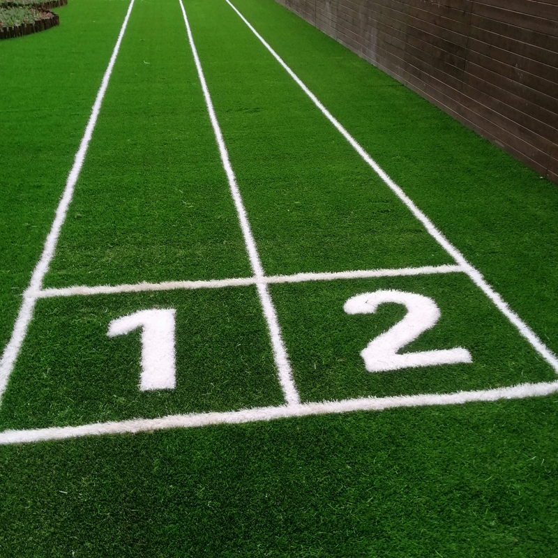 High Quality LOGO Customized Colorful Artificial Grass For Sled Rush