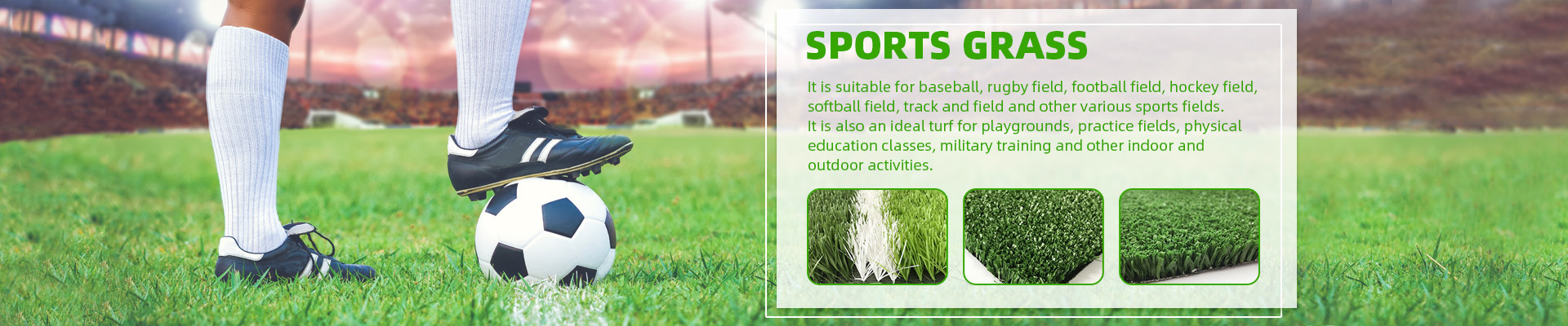 Sports Grass General