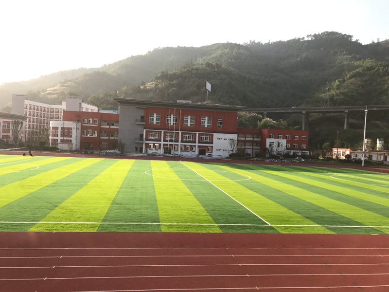 Outdoor Weather Resistance Matt Football Grass For Professional Match