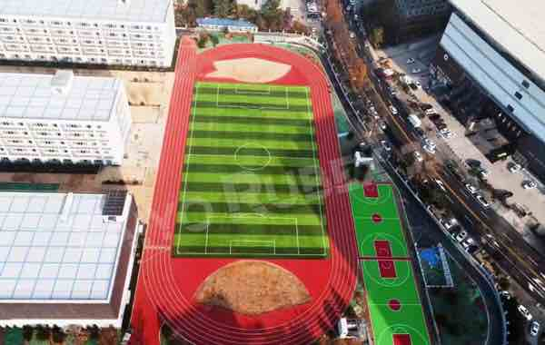 PE+PP High Dtex Anti-Fire Sports Grass for Football