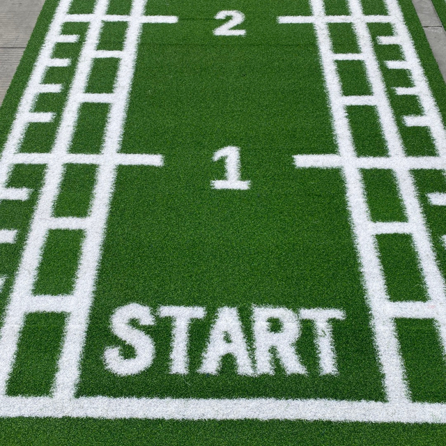 Customized Logo Design Sled Artificial Grass For Gym 
