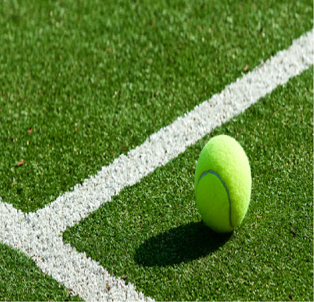 Fibrillated Yarn Non-toxic Health Safety Artificial Grass for Tennils Court