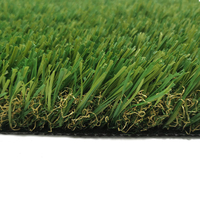 Anti-uv Wear Resistance Buffalo Landscape Grass for Garden outdoor
