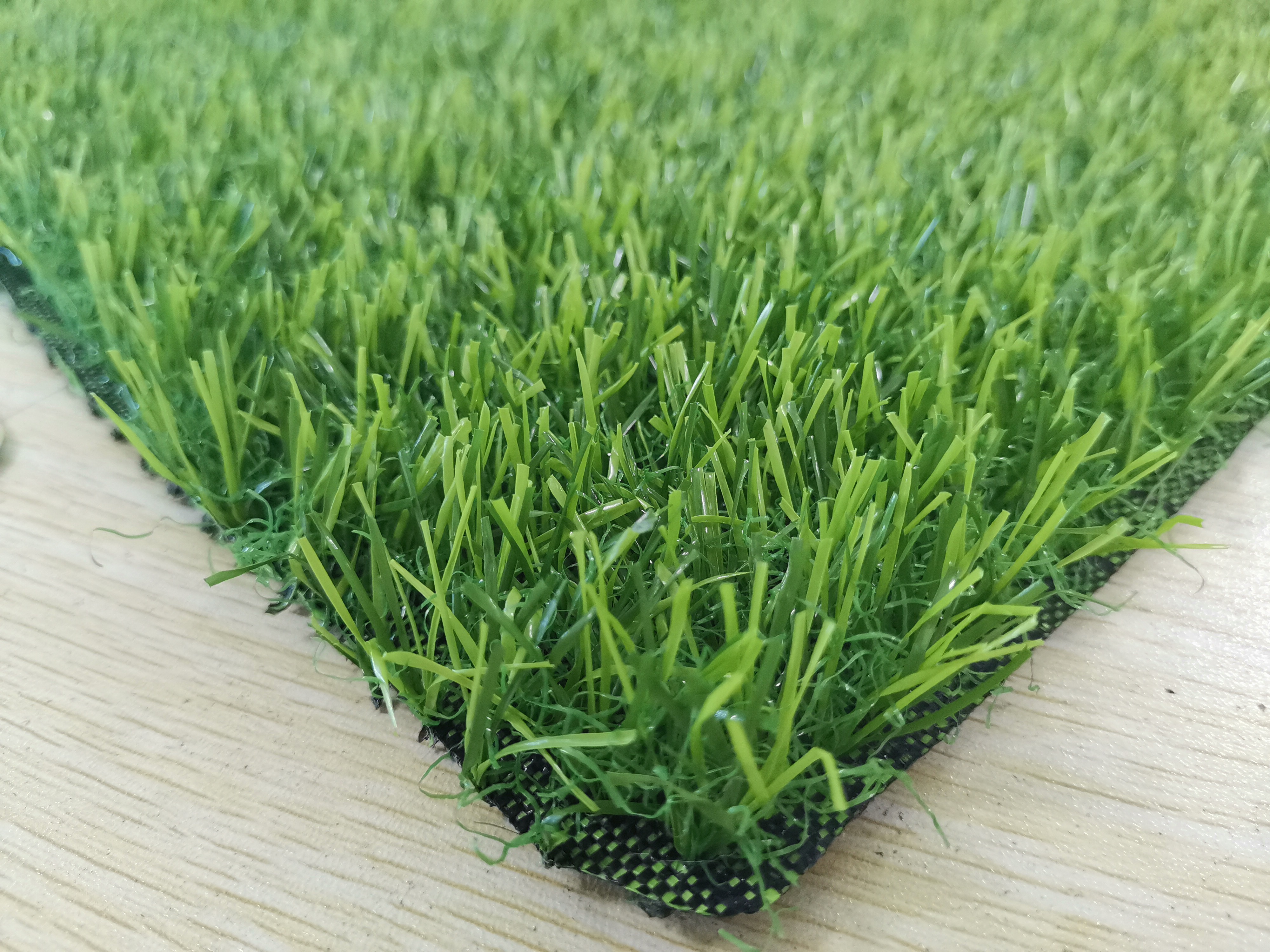 All Green Garden grass