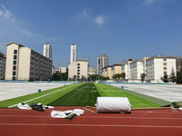 5CM UV Resistance Good Fastness Durable Dense Artificial Turf For football grass