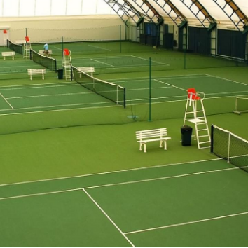 Comparison of natural turf and sports turf