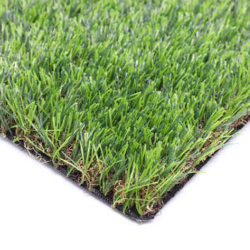 Types of sports grass