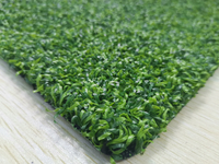Competitive Price Customized Color Artificial Football Grass for Tennis