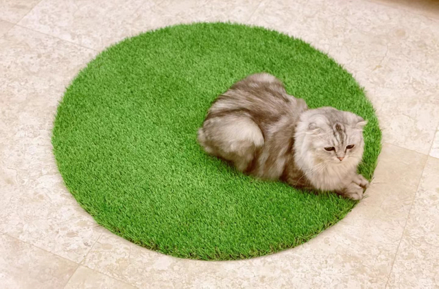 Native Field Green Plastic Landscape Grass for Pets Playground