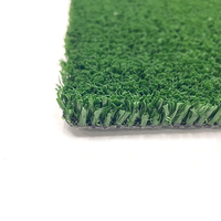 Sports Artificial Grass KW