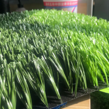 Advantages of sports grass