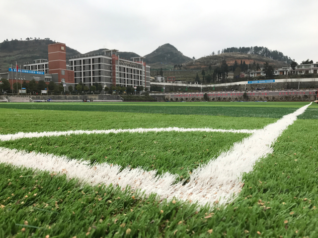 Outdoor Weather Resistance Matt Football Grass For Professional Match
