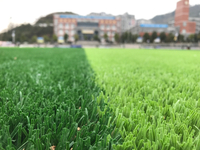 Outdoor Weather Resistance Matt Football Grass For Professional Match