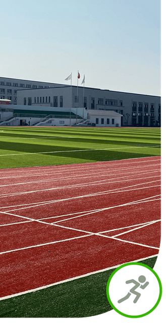 Top PE material weather resistance multi-sport artificial grass for soccer