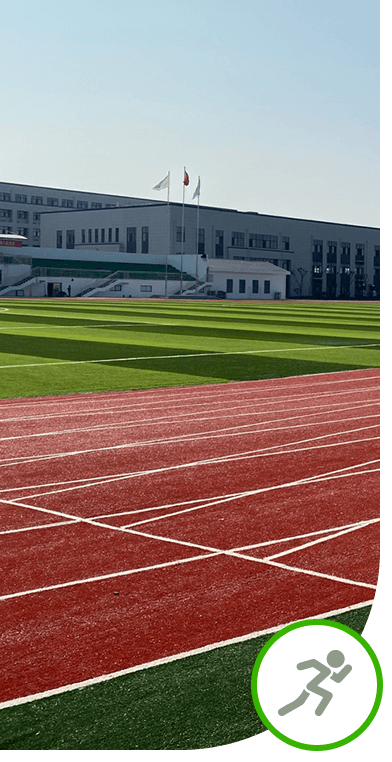 Top PE material weather resistance multi-sport artificial grass for soccer