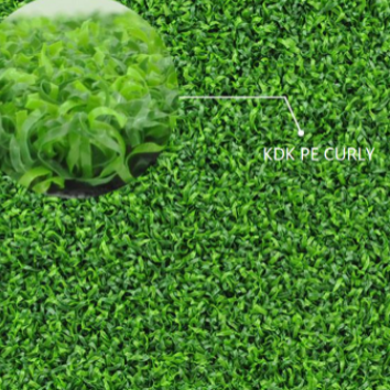 Information about sports grass